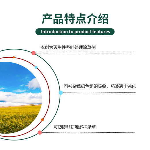 Binnong Technology 20% dichloride fast wasteland biocidal dichloricon road weed yard herbicide non-cultivated land pesticide 1000g