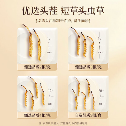 紫蓝花海冬虫夏草 新干虫草礼盒装精选干度足送礼物 3-4根/克 20根装