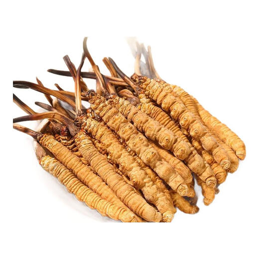 鹿章堂正宗冬虫夏草精品虫草断草正宗大断虫草干货买10条送1条散装正宗 西藏那曲3条1克正宗冬虫夏草（1条装）