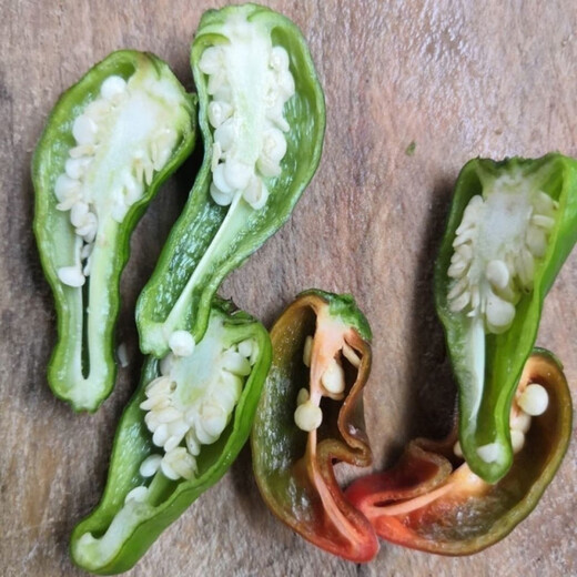 Native pepper seeds spring early maturing extra spicy thin skin green spicy delicious pepper tip seeds pepper seeds 100 local varieties 2 packs 400 capsules x