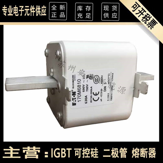 XMSJ/6811/6812/16813/6814全新伊顿熔断器保险熔芯 170M6810