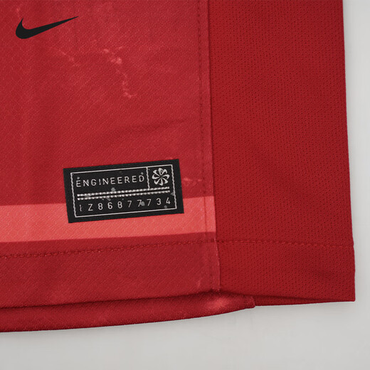 耐克（Nike）天朗足球耐克25赛季中超成都蓉城主场球衣短袖足球服HM6166-687 红色#HM6166-687 光板球衣 L