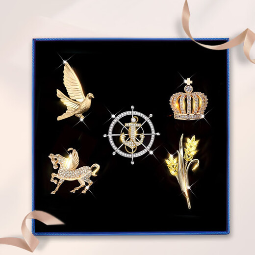 Dingjing instant success brooch men's suit suit corsage high-end pin coat jacket birthday gift for boys