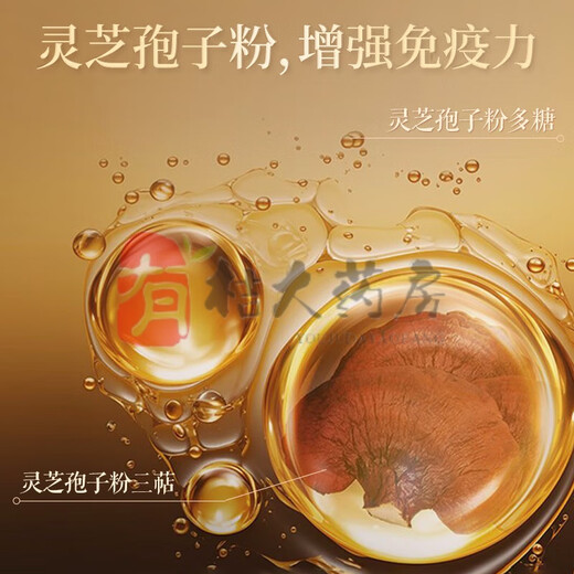 北京同仁堂破壁灵芝孢子粉胶囊 孢子粉送长辈探病送礼中老年补品 3盒装 破壁灵芝孢子粉胶囊【实发3瓶】