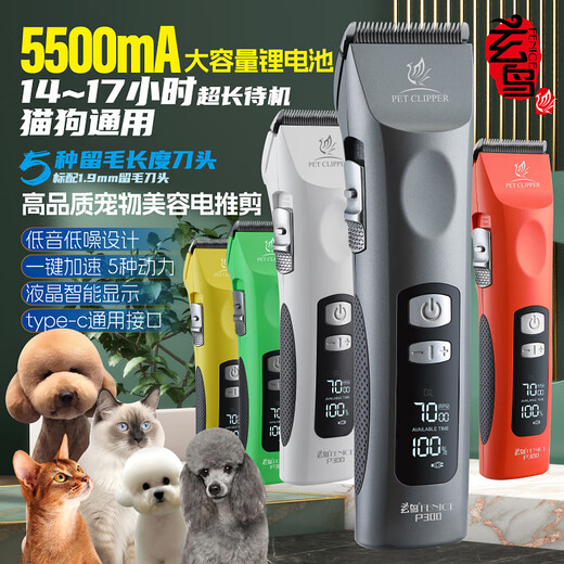 Xuanniao pet electric clipper dog hair shaving device professional large electric clipper high power Bichon Teddy grooming cat bass Vibrant Orange complete machine + 13mm blade