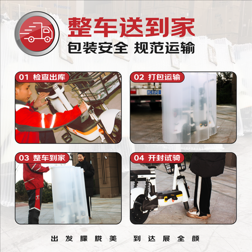 Tailing electric motorcycle Feimeng 60 kilometers long range electric car 1000W high-speed electric motorcycle lead-acid battery 60V22Ah takeaway and work transportation battery car verdant