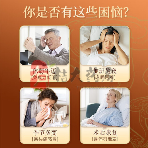 北京同仁堂破壁灵芝孢子粉胶囊 孢子粉送长辈探病送礼中老年补品 3盒装 破壁灵芝孢子粉胶囊【实发3瓶】