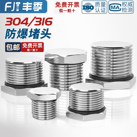 Fengji 304 stainless steel external thread plug M-G-NPT metal solid joint explosion-proof waterproof dustproof plug cover G1/2 (4 points DN15) 304 material