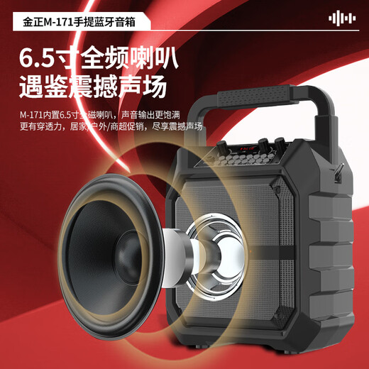 金正M171户外音响蓝牙音箱便携式大音量广场舞音响功放一体机家用ktv唱歌小型k歌麦克风手提摆摊低音炮 旗舰版【双支无线话筒】