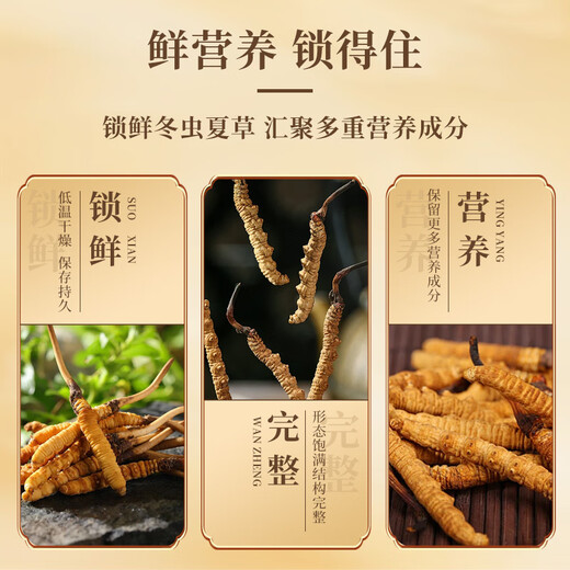 内廷上用同仁堂冬虫夏草4根/g*1g约4根滋补品无断草泡酒送礼虫体洁净