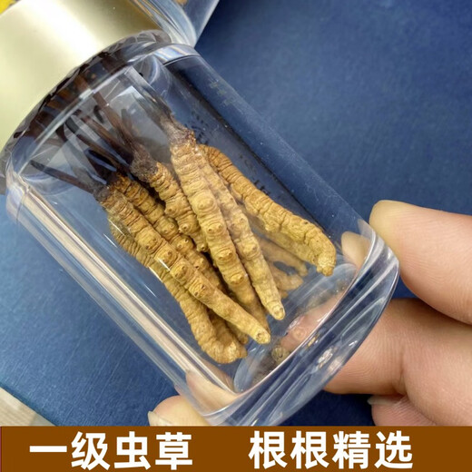 西那藏曲冬虫夏草干货虫草礼盒装高海拔雪山虫草精选冬虫夏草送礼 西藏那曲虫草2根1克合计100条装