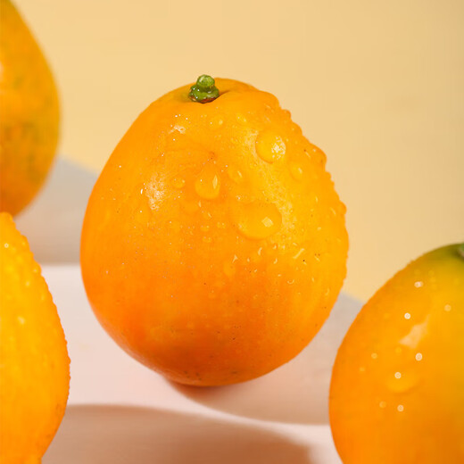 Jingdida Guangxi Rongan Kumquat Three Generations Crisp Honey Kumquat net weight 3Jin Jin is equal to 0.5kg. The single kumquat fruit is about 21g. Straight from the fruit source.