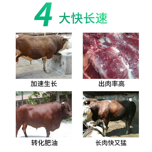 Ying 1 Meier cattle and sheep feed additives for fattening, beef cattle fattening, growth promotion, fat treasure premix for fattening, fattening cattle feed 40Jin Jin is equal to 0.5kg