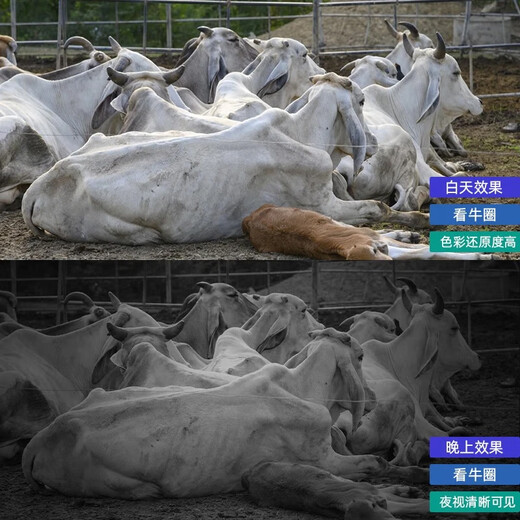 Visidakon Solarkamera Monitor 360 Panorama-Vollfarbverfolgung 360 Grad ohne tote Winkel Nachtsicht Panoramabelle Out