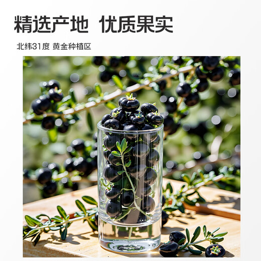 
Ning'an Baoqi Xiaoyang Black Wolfberry Raw Powder Qinghaifood Juice Anthocyanin Portable Bag Original Liquid 2700ml