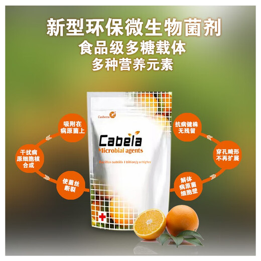 True canker, unique citrus peach tree, fruit tree and vegetable canker, soft rot bacterial perforation, 1 billion live bacteria microbial agent, citrus canker special 1000g*10 bags