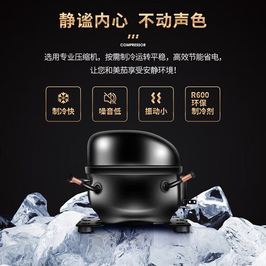 CIGARLOONG Cigar Cabinet Constant Temperature and Humidity Intelligent Compressor Energy-saving Silent Negative Ion Ammonia Removal Cigar Humidifier Cabinet Beech Bare Ammonia Purifier + Wifi + Compressor Constant