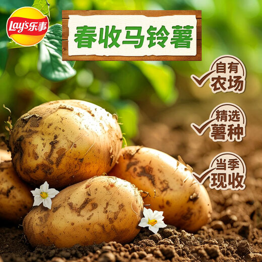 Patatas Patatas de Lay Costa de primavera Papotes Sabor natural 60G Batones de cultivo 3 Bocadillos de invitación especiales