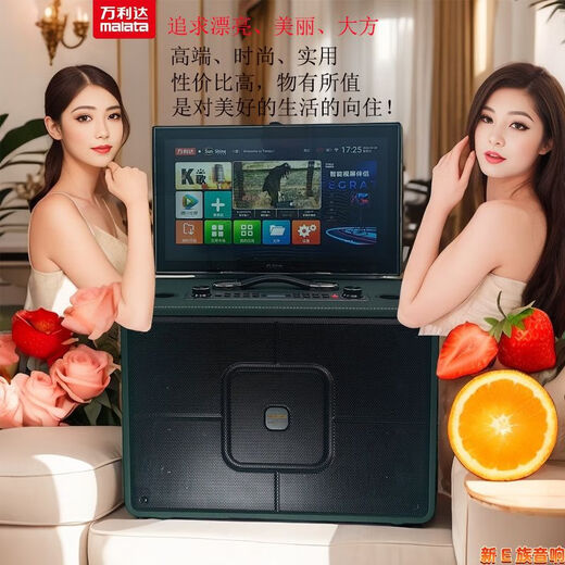 万利达（malata）万利达M9730视频蓝牙显示屏广场音响户外音箱移动卡拉一体机家用 万利达M+9730+两冲电话筒 大礼包+支加+拉杆包