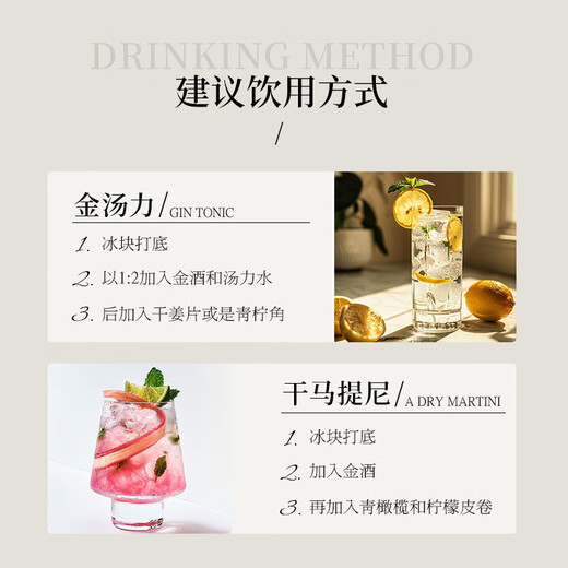 药剂师纯正伦敦干金酒原瓶进口金酒洋酒琴酒杜松子酒金汤力调酒基酒烈酒 精品伦敦干金酒 1瓶 700mL