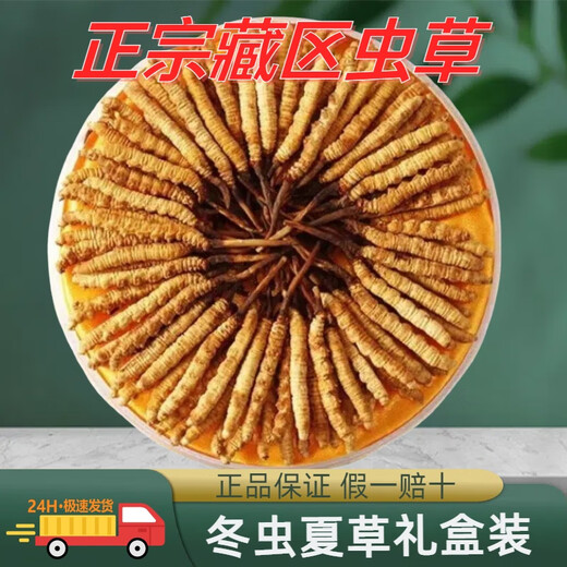 
Xina Tibetan Cordyceps Cordyceps Snow Mountain Cordyceps Cordyceps King Snow Mountain High Altitude Nutritional Gift Box Package Full Network Price Comparison Tibet Nagqu Cordyceps 100 Packages (2 pieces per gram)