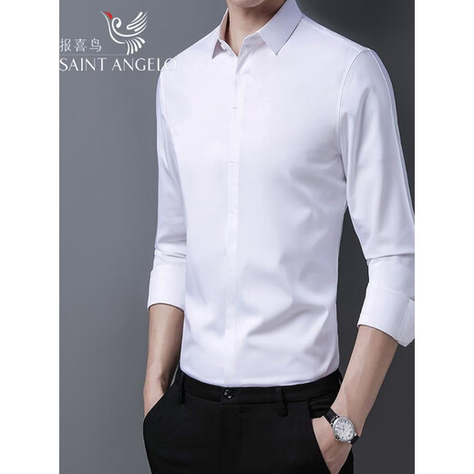 Announcement Bird Anniversary Men's Discount No-iron Men's Long-sleeved Shirt Young and Middle-aged Business Casual High-End Solid Color Shirt Gray Green Long Sleeve S 165 Suitable for 90-120 Jin Jin equals 0.5 kg