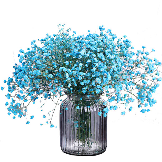 AIMAN dried baby's breath bouquet for home decoration, living room and bedroom decoration, flower arrangement, eternal freshness, birthday gift with vase, white + blue baby's breath, including newspaper + ribbon, dried flower bag