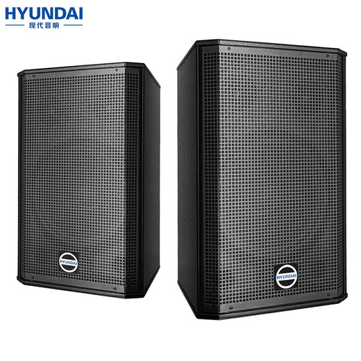 HYUNDAI现代BK10专业中小型会议室音响套装壁挂式音箱蓝牙功放无线话筒组合教学培训店铺音响系统设备 【两音响/八鹅颈】会议音响套装（20-120平）