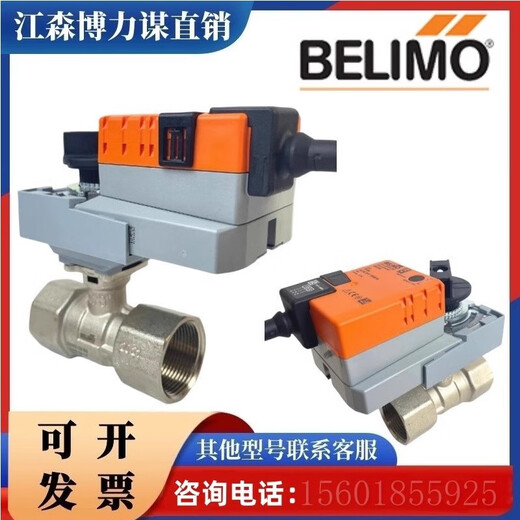 搏力谋R223AC R2025-10-S2 电动调节二通球阀阀体不锈钢 DN25 R679AODN80用于调节
