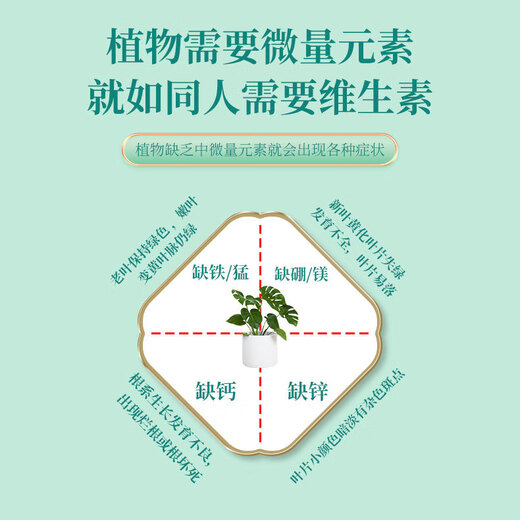 Plant nutrient solution, universal money tree dead leaves, yellow leaves and rotten roots, household flower fertilizer, special concentrated fertilizer for potted flowers, 1 bottle 500ml