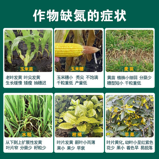 Liquid slow-release nitrogen fertilizer foliar fertilizer for corn, wheat, rice, fruit trees, vegetables, seedlings, strong stems, increased yield, high-nitrogen water-soluble fertilizer, liquid slow-release nitrogen 1300g*12 bottles