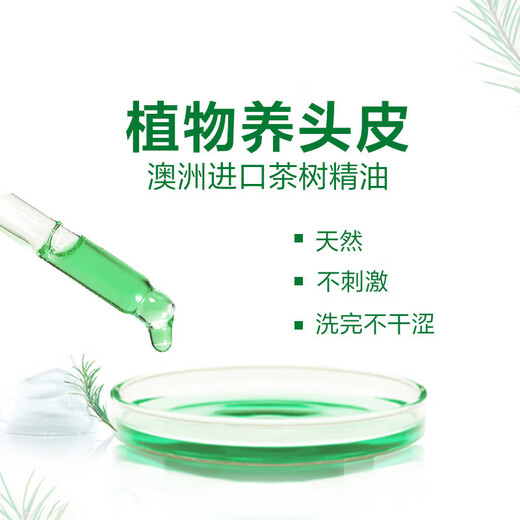 L'Oreal Tea Tree Plant Extract Anti-dandruff Cleaning Shampoo 500ml Refreshing Oil Control and Oil Removal Men's Women's Shampoo