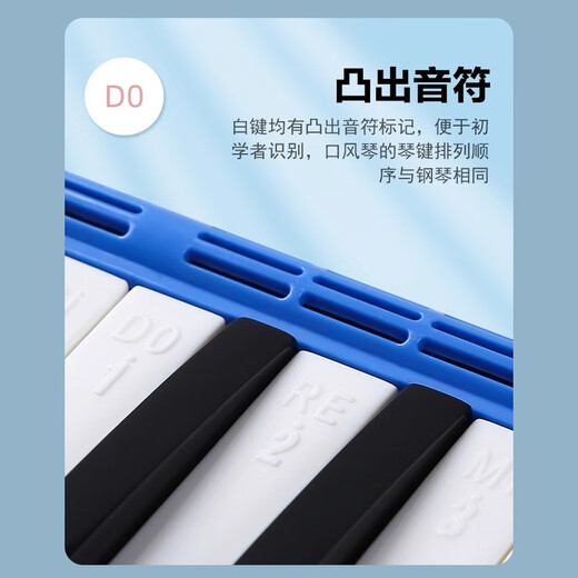 Romusic mouth organ 37-key teaching recommended junior high school and primary school students classroom instrument children professional playing wind instrument blue