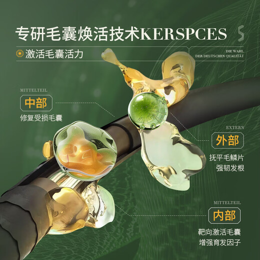 SKISGEM German imported anti-hair loss ginger high-end shampoo anti-itch, anti-dandruff, oil-control, fluffy shampoo cream for men and women, second stage, strong hair roots, anti-hair loss shampoo*2