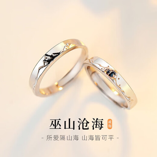 MZMZ Platinum Couple Ring Women's Fashion pt950 Platinum Pairing Ring for Engagement, Valentine's Day, Birthday Gift for Girlfriend, Light Luxury Style - Wushan Canghai Pairing Ring