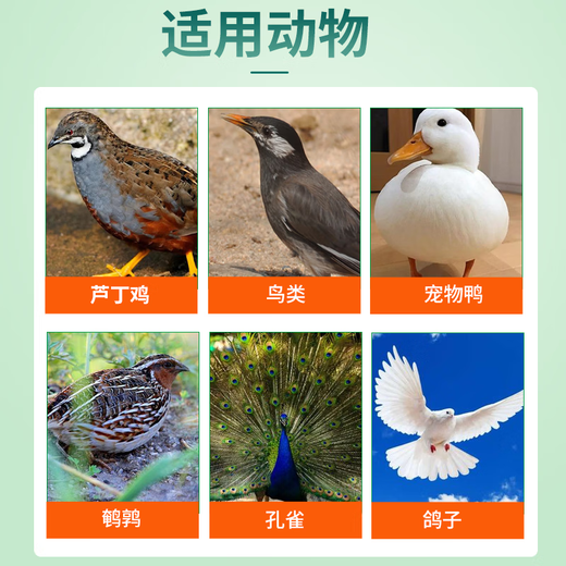 Pet Feather Pecking Bird Insect Cleaner Parrot Feather Cleaner Rutin Chicken Feather Pecking Bald Back Bird Feathers Special Pet Feather Pecking Cleaner 10 cans/100g (free spoon)