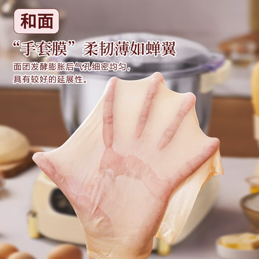英凯仕和面机家用 揉面机 厨师机 全自动多功能6L大容量商用可揉6斤面团智能和面搅面机面包面粉发酵醒面 【8L和面醒面款】【可揉7斤面团】加厚刀头+速成膜