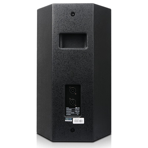 SHILE 10-inch professional stage speakers, large conference rooms, KTV private rooms, wedding outdoor performances, high-power speakers BM-10