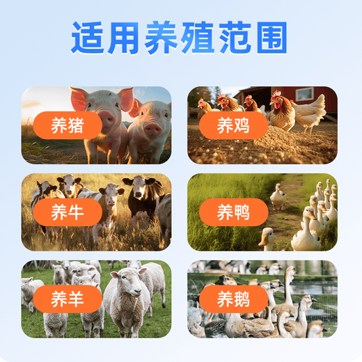 OIMG Sen A Ao D Da Ju Kuai fattening pig special early slaughter mixed feed premix day length 3Jin Jin is equal to 0.5 kg 1 bag * Ju Kuai * pig / eat more long *