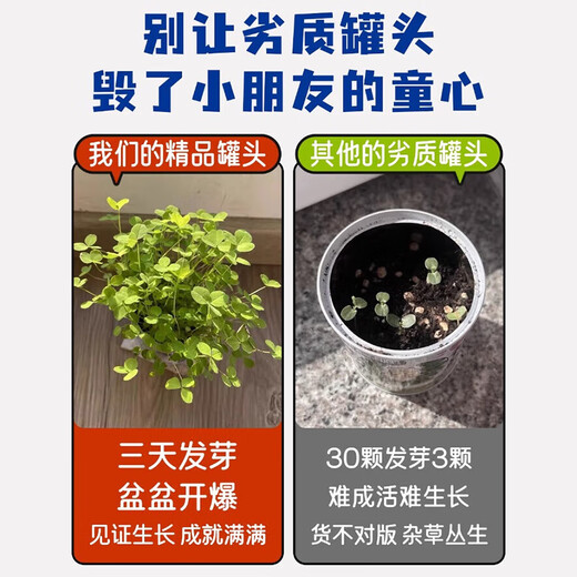 蚁恩罐头植物盲盒幼儿园室内种植小盆栽蔬菜花卉种子绿植61儿童节礼物 【寓意种植小盆栽盲盒、3罐装】 【老师推荐/简单易活/四季可种】