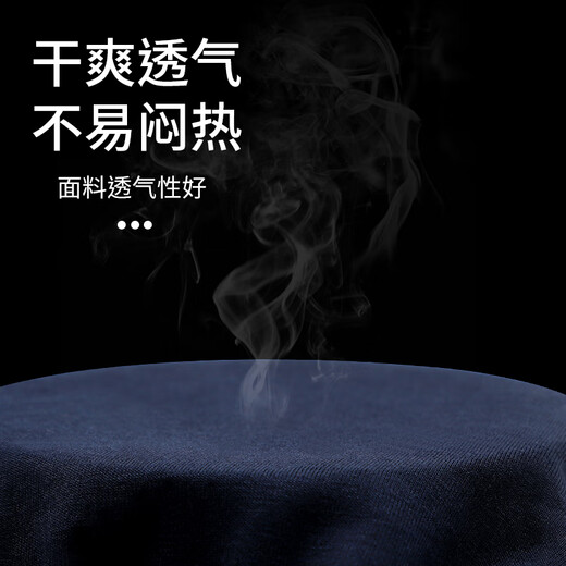 浪莎内裤男三角抑菌男士舒适透气男式大码宽松短裤中腰裤头 175/XL