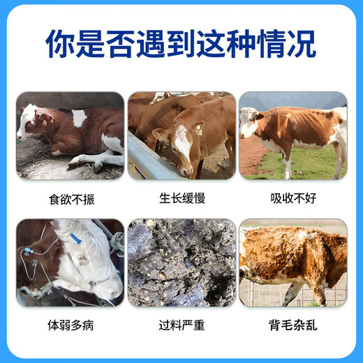 Yingmeier Yingmeier growing cattle premix cattle special calf fast growing calf calf skeleton trace element feed wholesale fattening cattle premix 20kg*3 bags 93 per bag