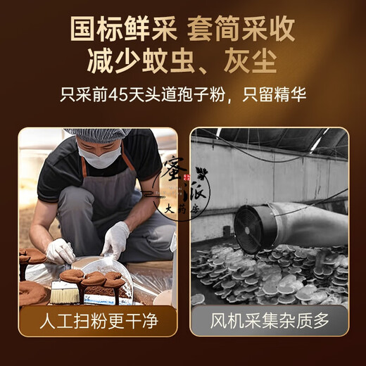 北京同仁堂野芝堂牌破壁灵芝孢子粉胶囊中老年人增强免疫力体虚体弱送礼长辈 二小盒装基础装