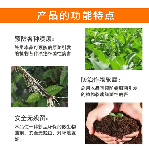 True canker, unique citrus peach tree, fruit tree and vegetable canker, soft rot bacterial perforation, 1 billion live bacteria microbial agent, citrus canker special 1000g*10 bags