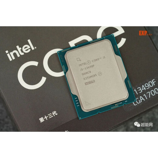 英特尔（Intel）i3 13100F 13100 i5 13400F 13490F 13600KF i7 13700K i9 13900K i7-13790F 拆一年保散片