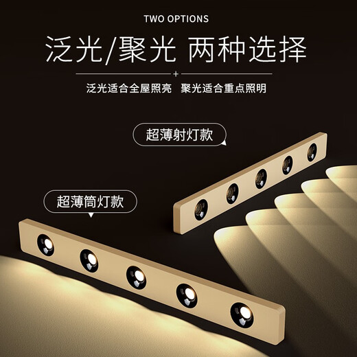 拉伯塔极简长条明装筒灯无主灯客厅走廊过道灯led射灯斗胆灯卧室吸顶灯 全光谱护眼9848cm长条筒灯-四头