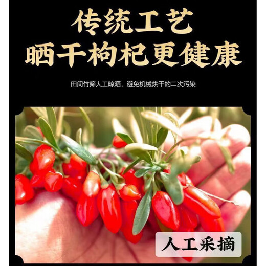 Pupan Ningxia Wolfberry Wolfberry Special Neues Produkt Schwefelfreier Tasche Dose First Stoppble Fett Donglai Pure Natural Wolfberry Limited Time Event 20g Big Fruit