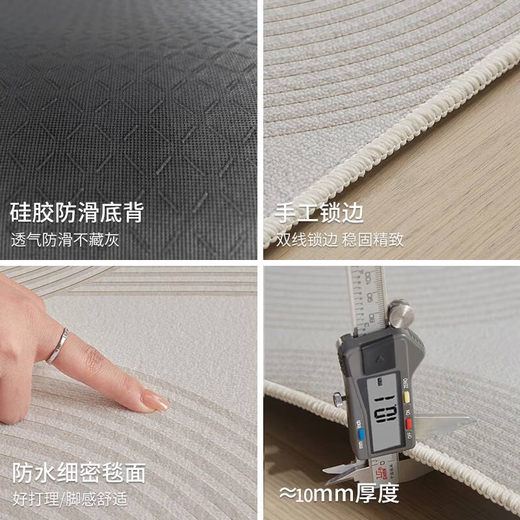 布迪思地毯卧室大面积满铺家用客厅毯沙发茶几轻奢防滑毯简约可定制地毯 现代6210【加厚圈绒】 240*300CM