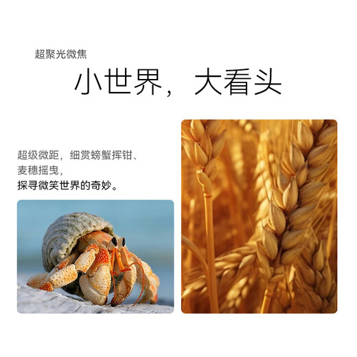 华为（HUAWEI）Pura 70 北斗卫星消息版 第二代昆仑玻璃 华为鸿蒙智能手机YX55 pura70北斗卫星版-羽纱黑 12GB+512GB 官方标配
