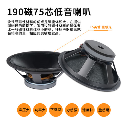 SHILE 15-inch professional stage speakers, large conference rooms, KTV private rooms, wedding outdoor performances, high-power speakers BM-15